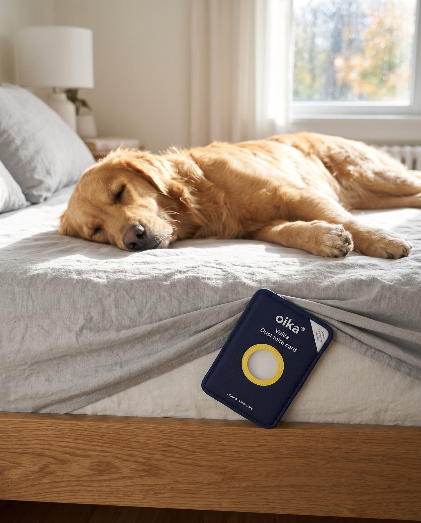 A dog asleep on a bed with a card under the sheet
